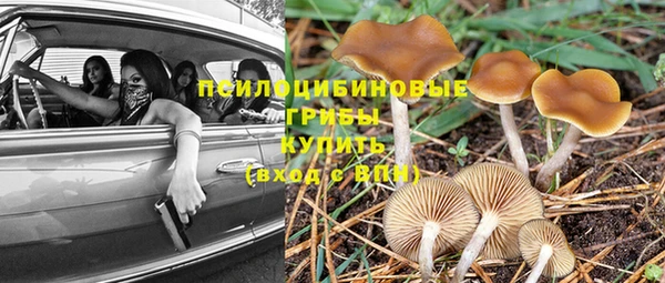 таблы Верея