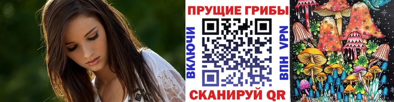 дарнет шоп  Евпатория  Псилоцибиновые грибы Psilocybine cubensis 